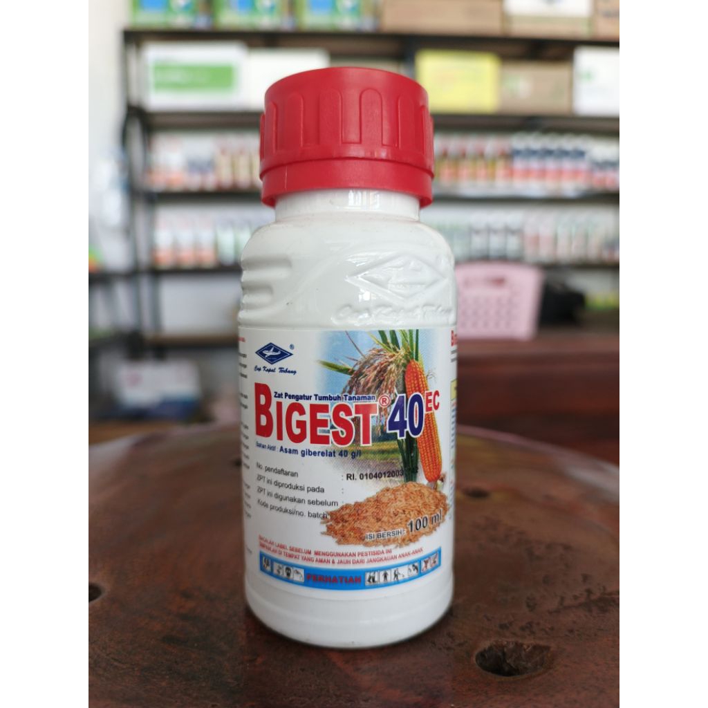 Bigest 40ec kemasan 100ml - dijamin original pabrik