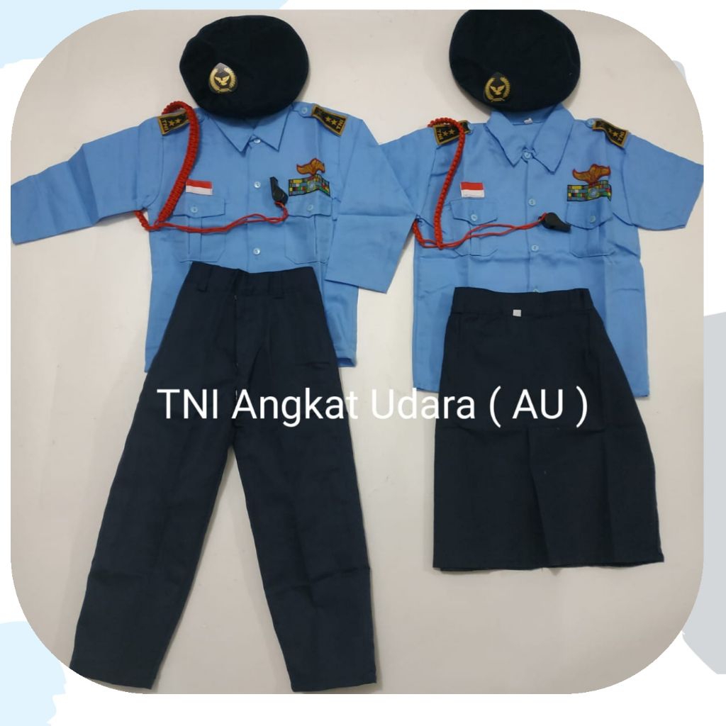 Baju profesi anak tk