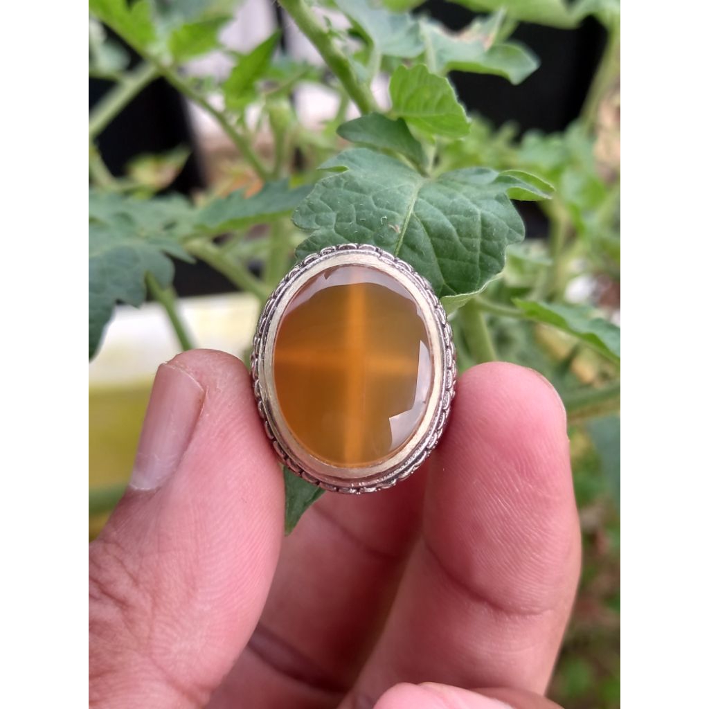 NATURAL AKIK MOTIF TAPAK JALAK