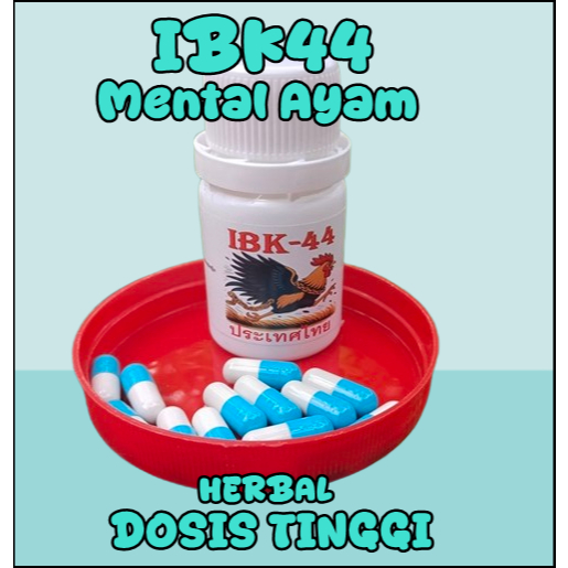 IBK44 Obat Mental ayam - obat menaikan mental ayam - 30kapsul mental ayam - jamu mental ayam