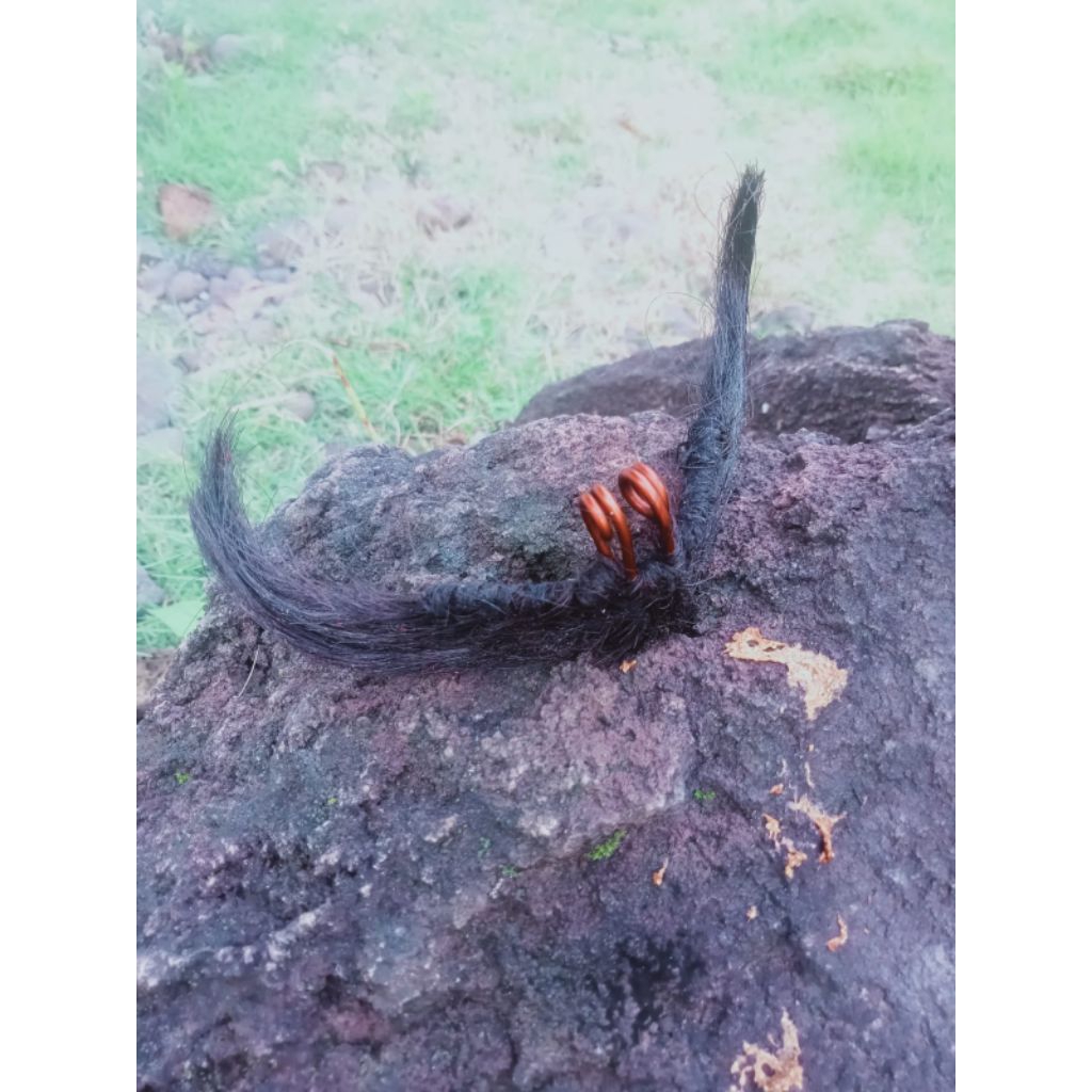 brengos atau kumis palsu ukuran anak