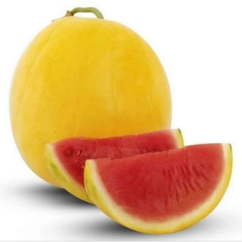 BENIH/BIJI SEMANGKA GOLDEN RED (15 BUTIR)