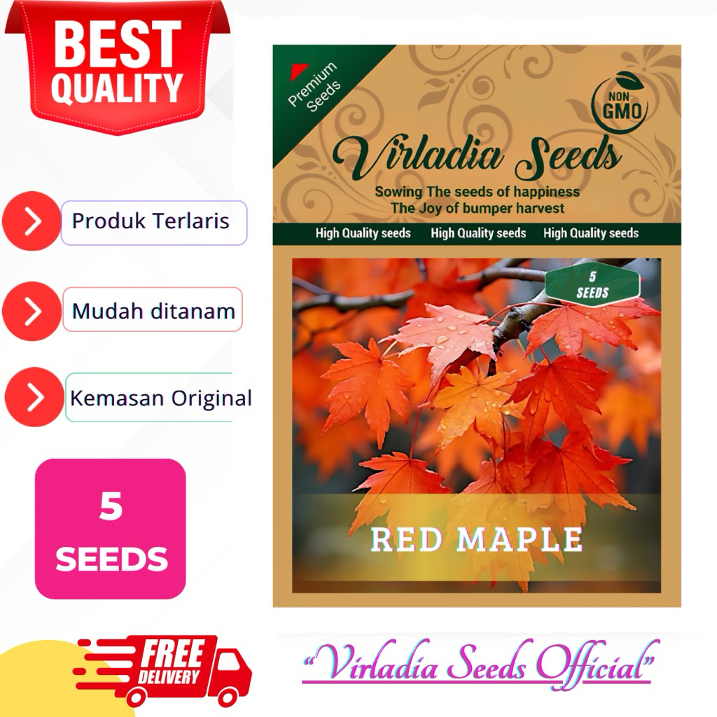 [Virladia Seeds] Biji Benih Pohon Maple Merah