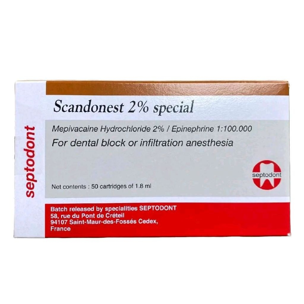 Dental Scandonest 2% Box
