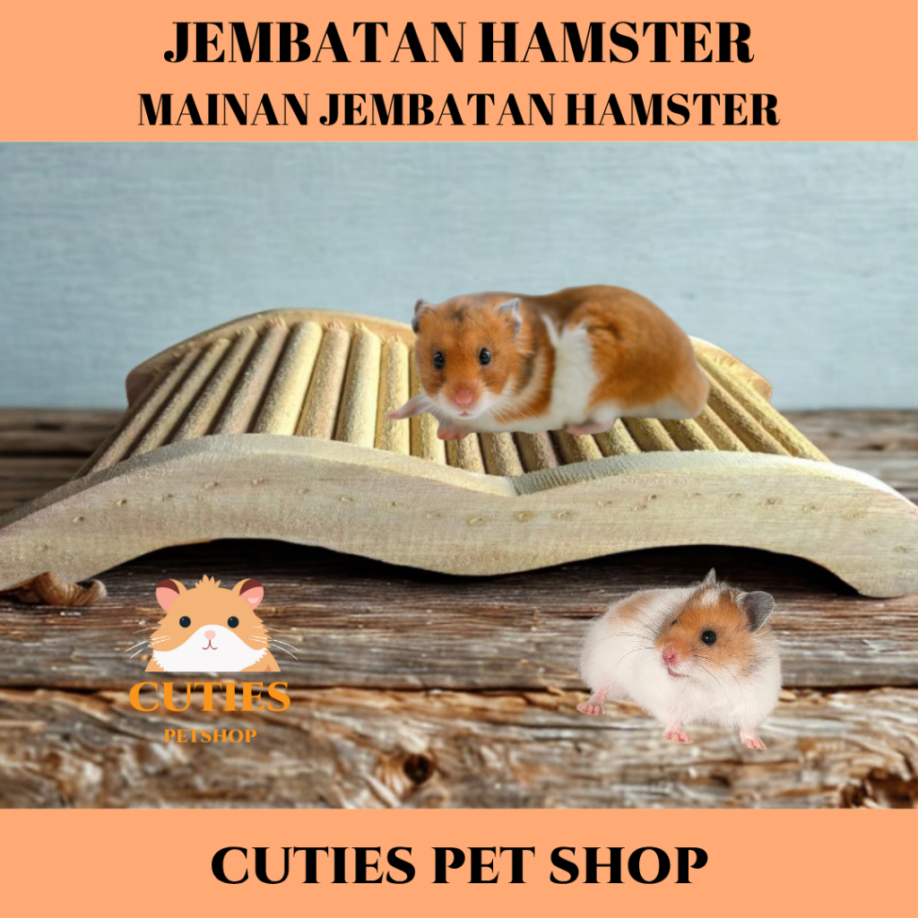 JEMBATAN HAMSTER / HAMSTER BRIDGE / MAINAN JEMBATAN HAMSTER / JEMBATAN KAYU /