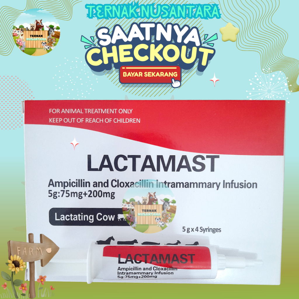 LACTAMAST 1 Syringe - Antibiotik Intramammary untuk Pengobatan Mastitis pada Sapi Perah