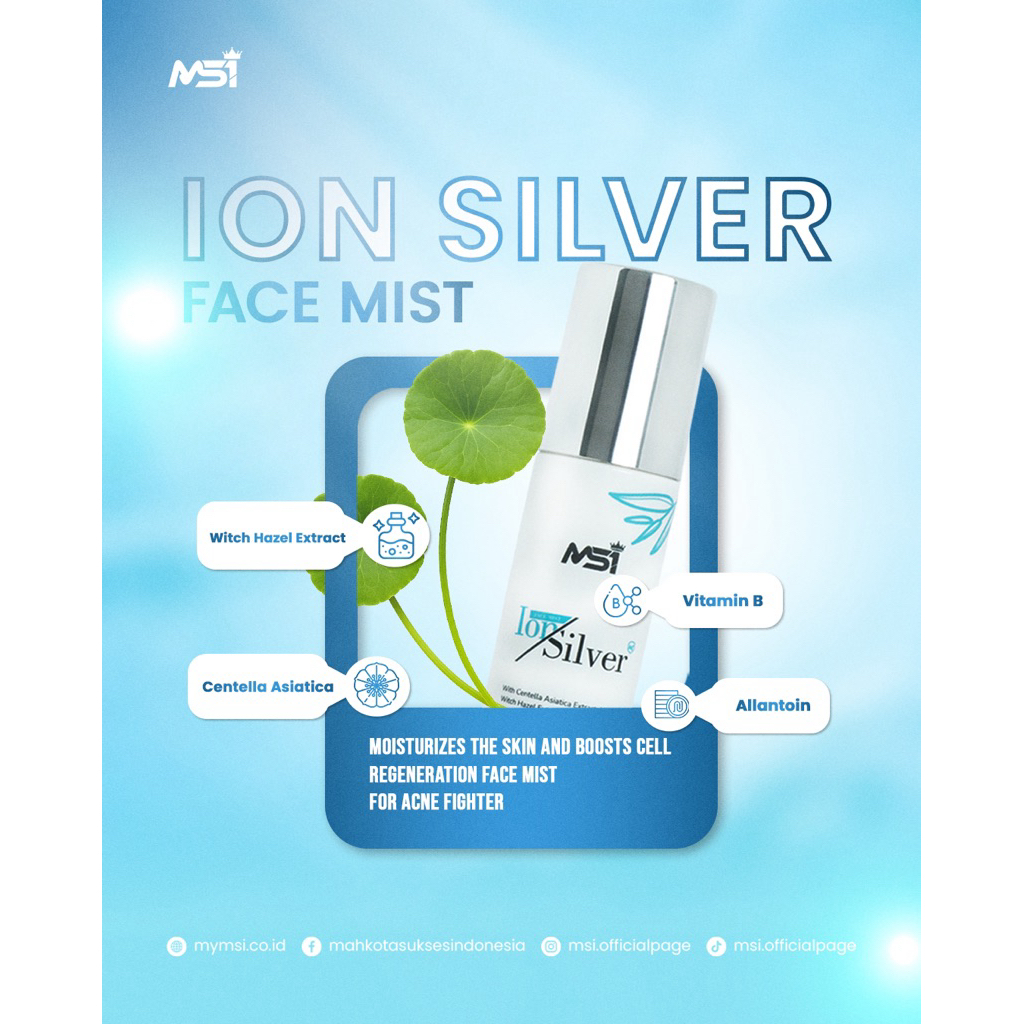 Ion Silver MSI