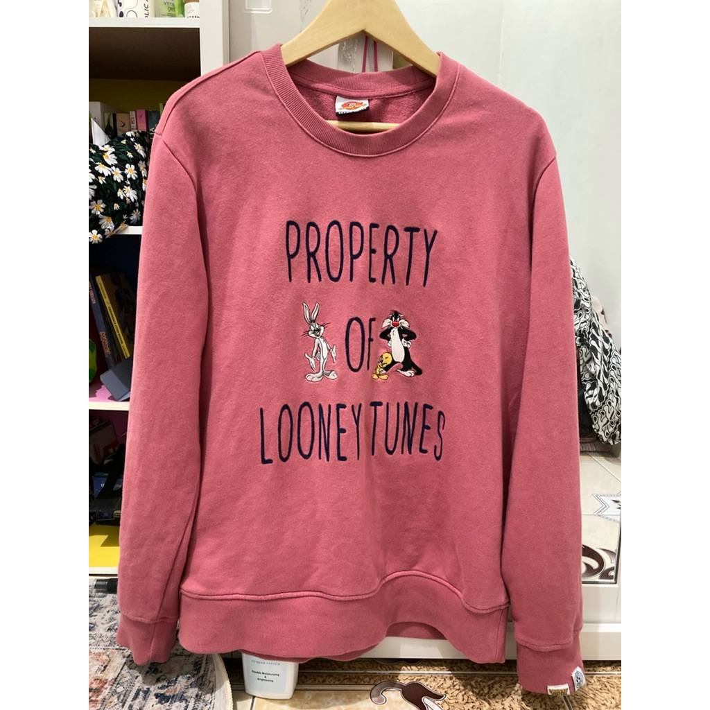 sweater crewneck looney tunes pink oversized