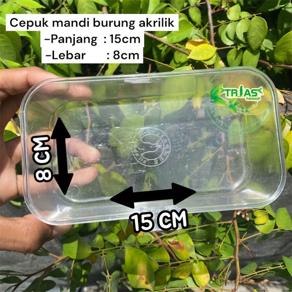 Cepuk Makan Burung Akrilik / Tempat Mandi/minum Burung Transparan / Wadah Mandi Burung / Bak Mandi B