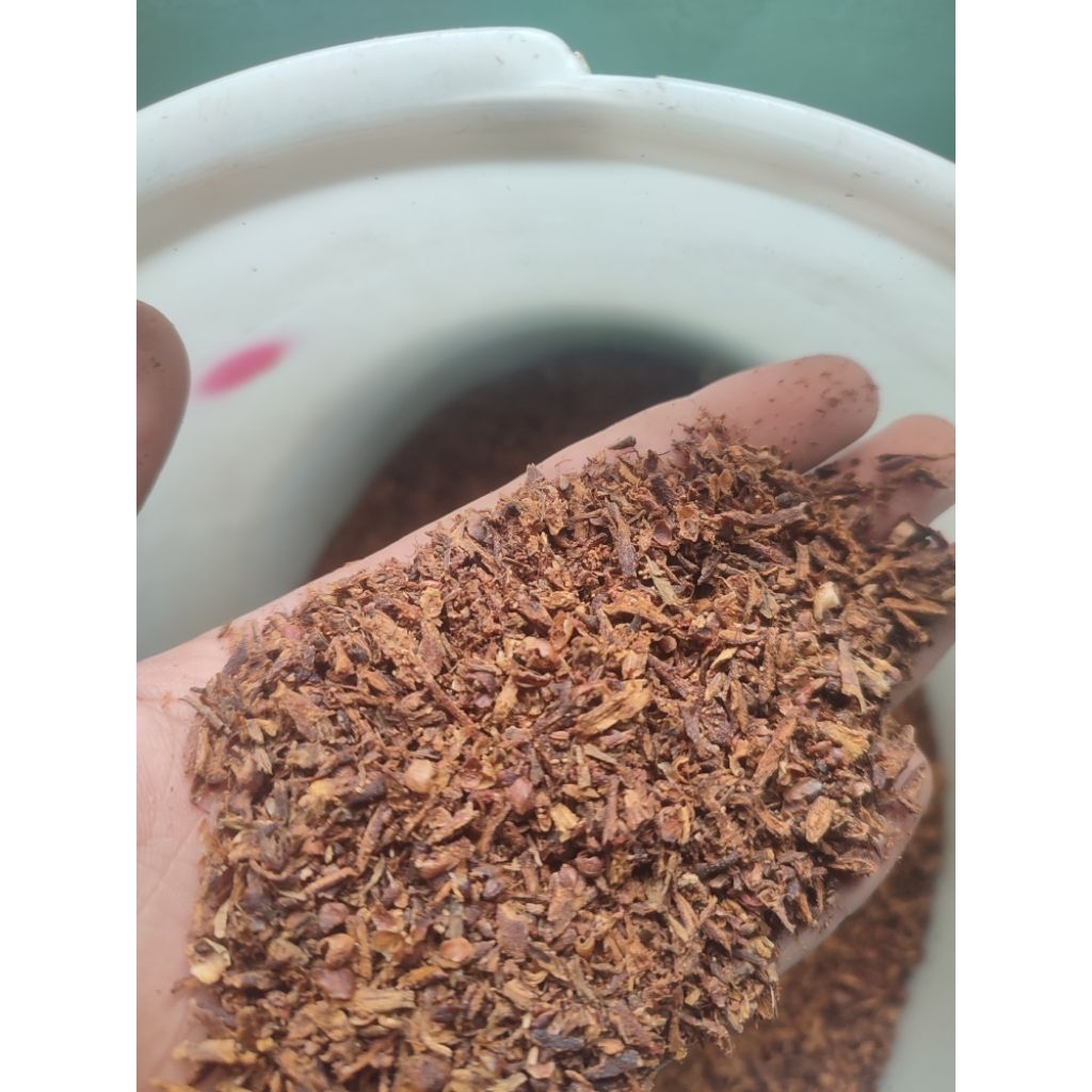 cengkeh lokal rajangan bumbu rokok murni tanpa campuran