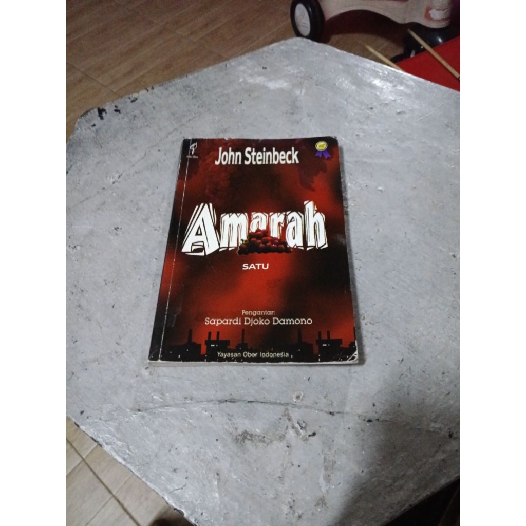 novel John steinbeck amarah satu