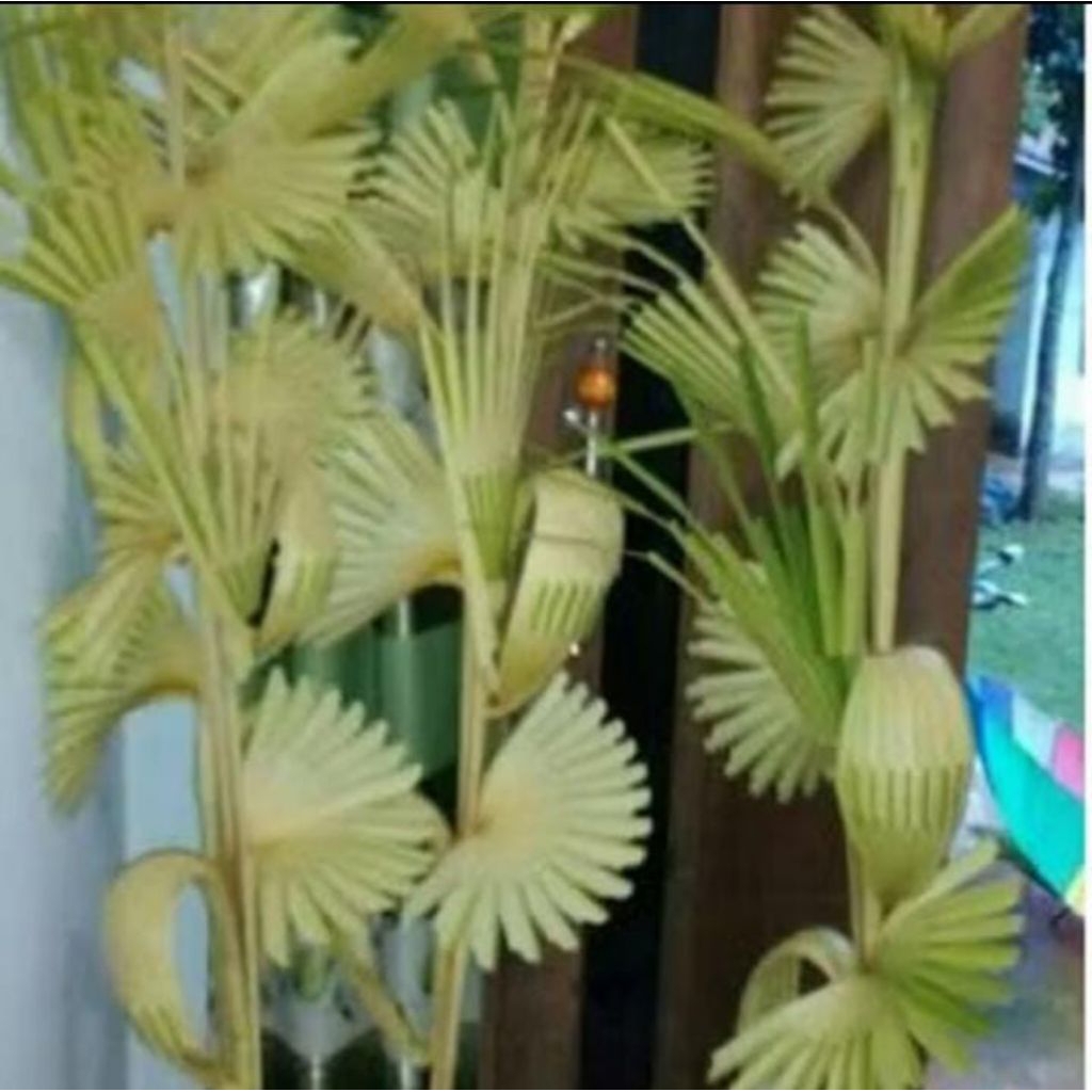 JANUR KUNING PERNIKAHAN MURAHH