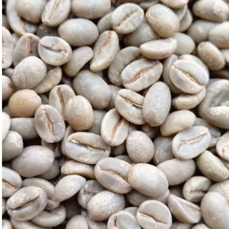GREEN BEAN ARABIKA NATURAL CLASSIC LERENG GUNUNG KAWI.