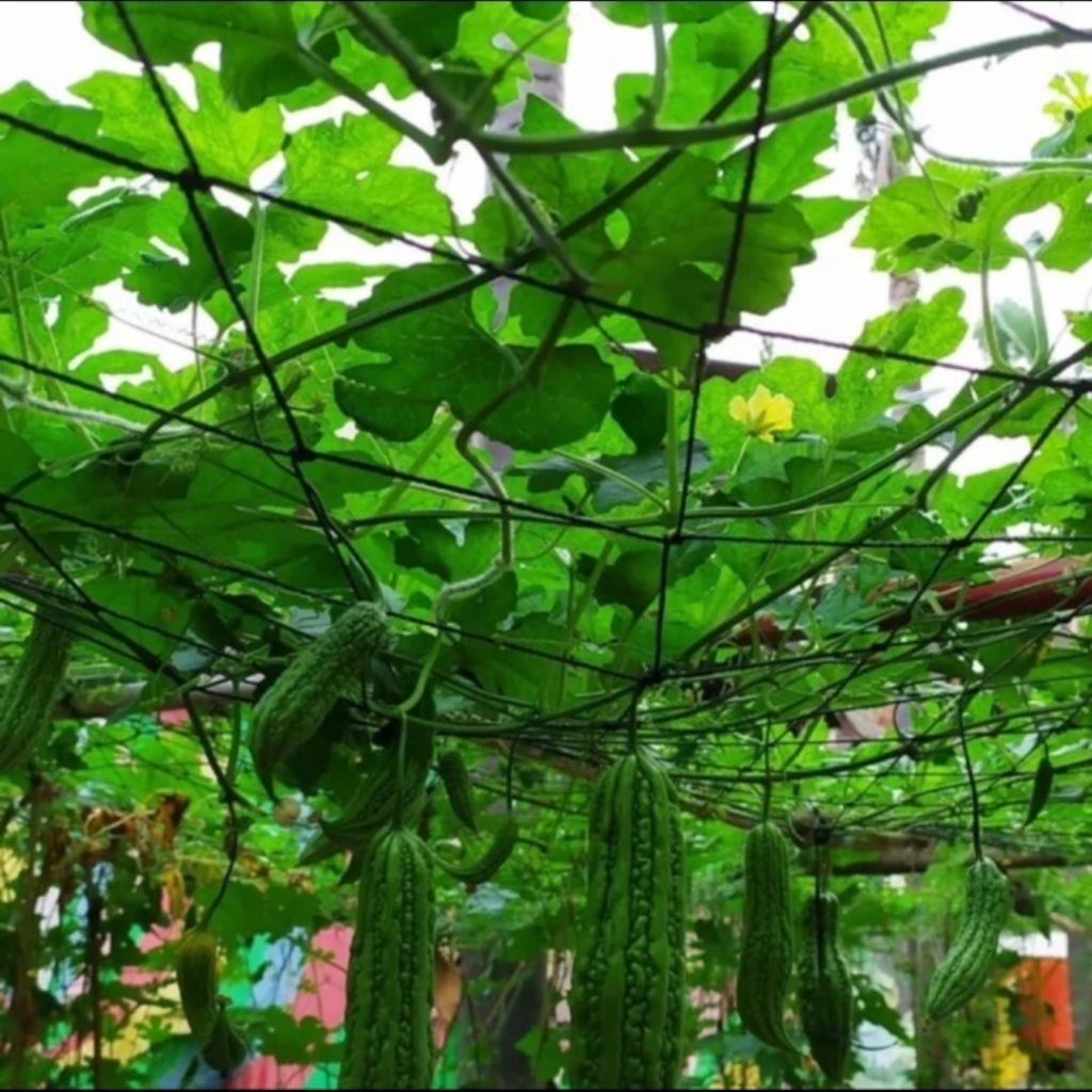 Loveelyy0 Jaring Tanaman Rambat/Jaring Tanaman Buah/Jaring Tanaman Anggur/Sayuran/Tali Frame