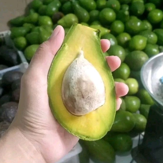 Alpukat mentega segar gurih