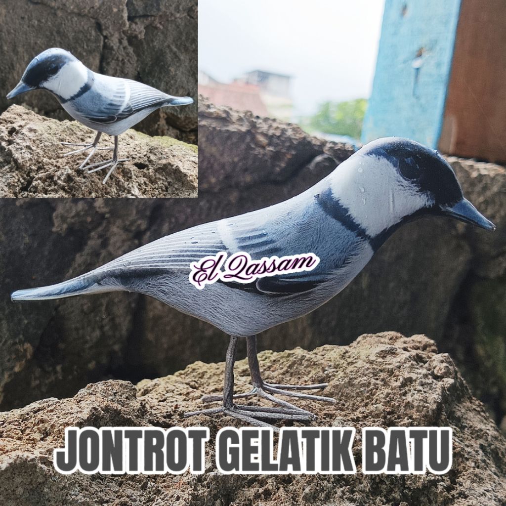 Jontrot Pikat Burung Gelatik Batu 3D Anti Penyok Kokoh / Jontrot Pikat Burung Gelatik