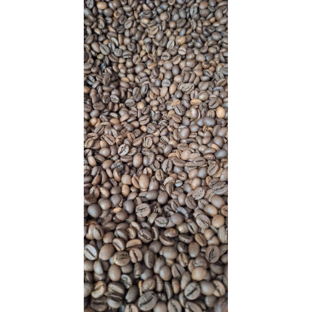 kopi biji Arabika Gayo 100gr