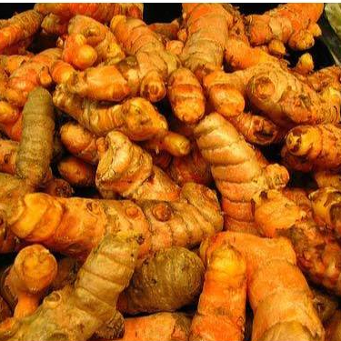 Kunyit Segar | Sayuran ID Padang