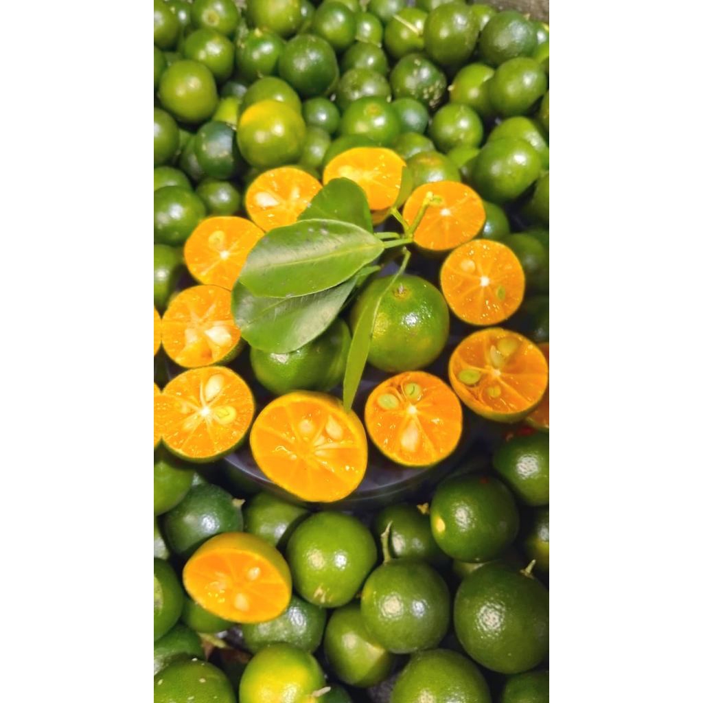 1kg jeruk sonkit kasturi