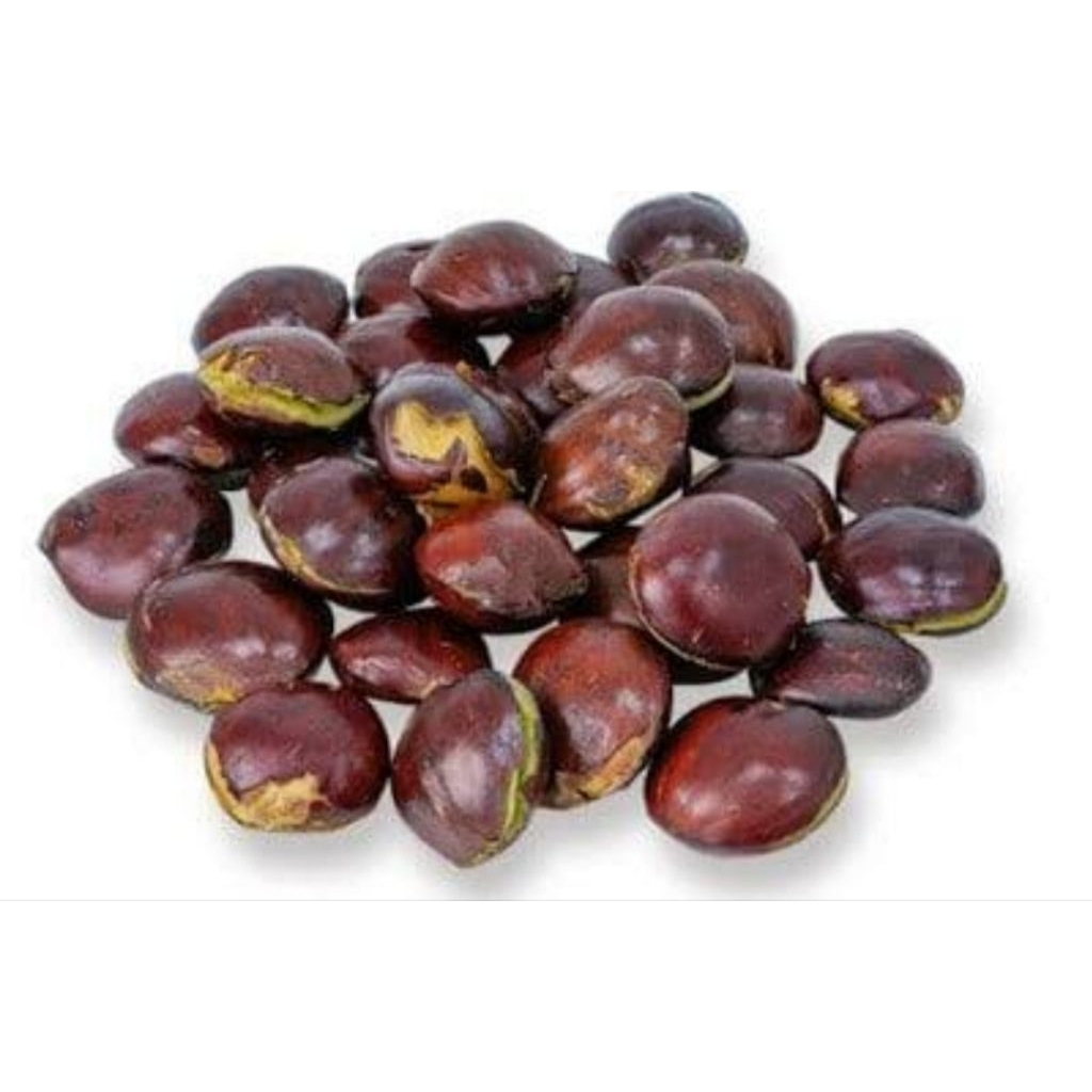 Jengkol Tua Mentah Kualitas Super Pulen - 500 Gr