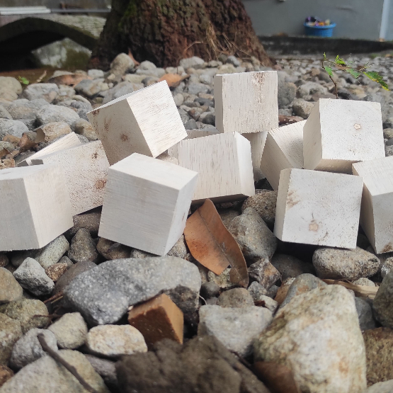 Kayu Balok Sengon Laut Albasia Ukuran 10x10x10 cm