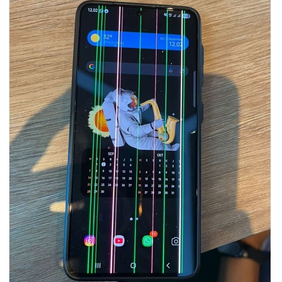 SAMSUNG S21 MINUS LCD