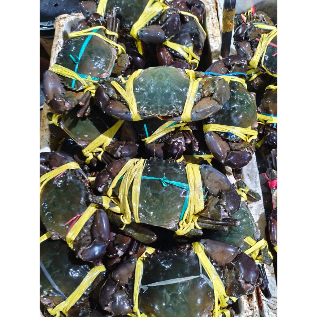 Kepiting Hidup / Kepiting Fresh / Kepiting Hidup Segar 1kg isi 4/5 Ekor