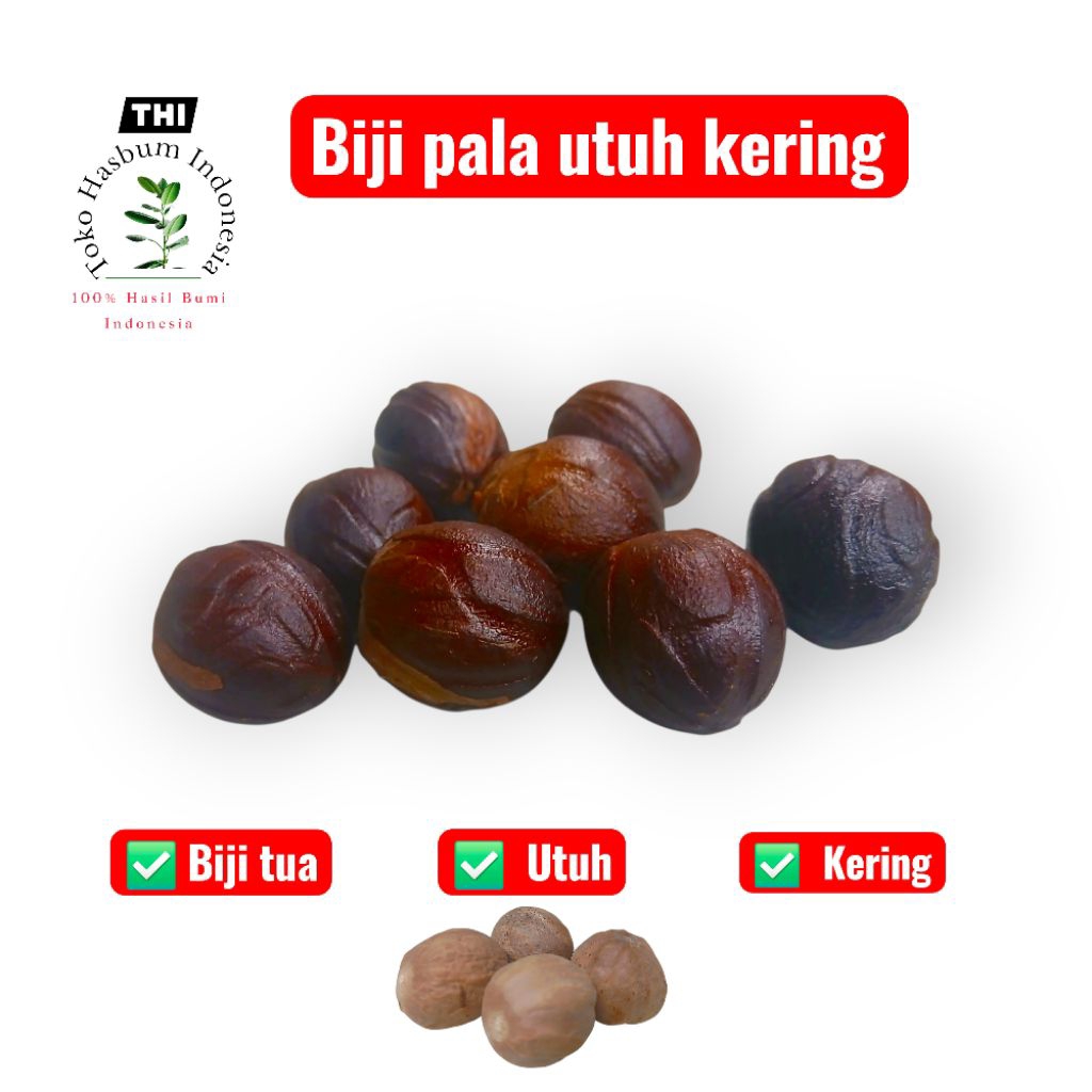 (COD) Biji pala utuh kering / Biji pala/siki pala 1kg  berkualitas dan 100% organik dari petani untu