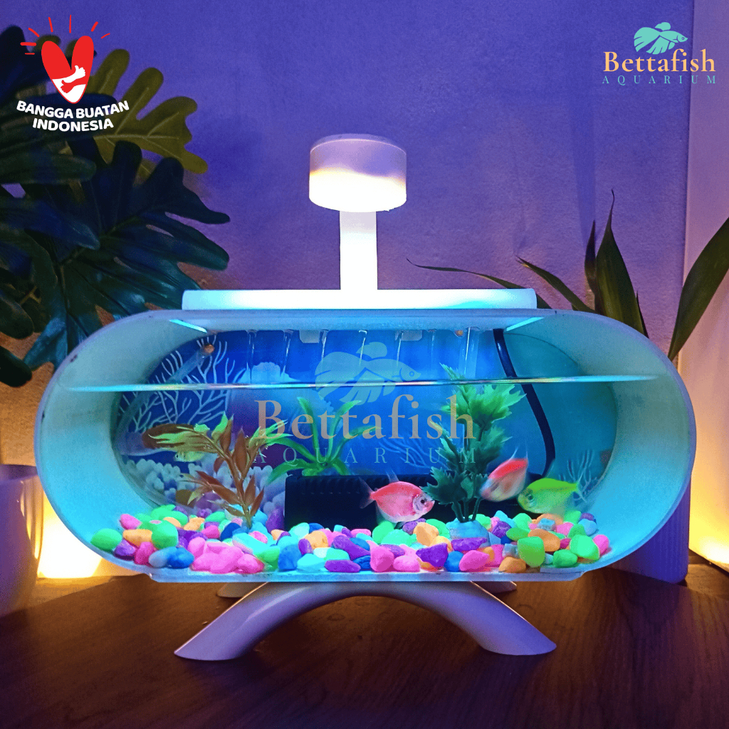 TERMURAH  Aquarium mini akrilik 1 set plus mesin filter sirkulasi aquarium dan lampu led akuarium