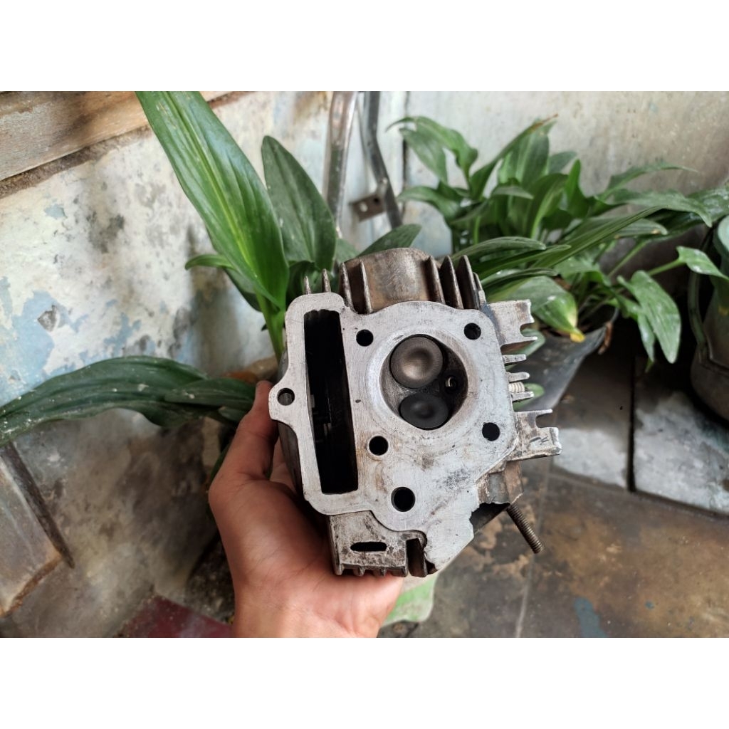 head kop Legenda klep 25/22