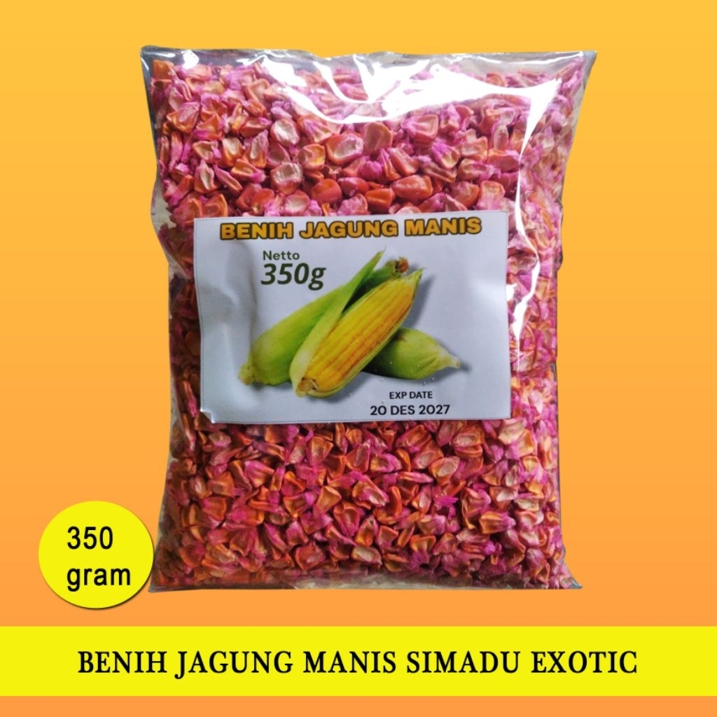 Benih/Bibit Jagung manis Super Simadu Exotic 350 gram