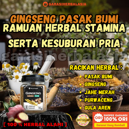 GHA | GINGSENG PASAK BUMI ASLI Rempah Purwaceng Gula Aren Bubuk 1 Kg Penambah Stamina Pria
