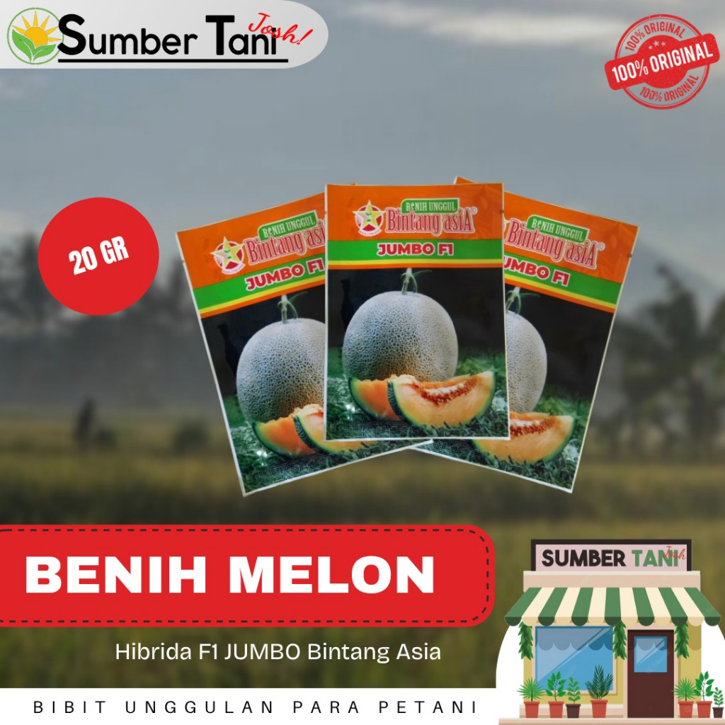 BENIH MELON JUMBO F1 CAP BINTANG ASIA KEMASAN 20GR
