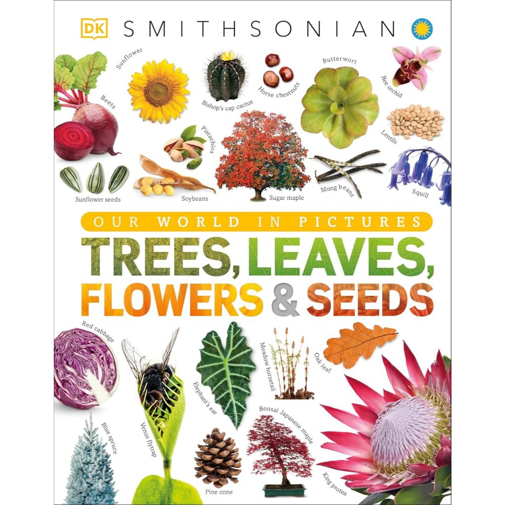 Trees, Leaves, Flowers and Seeds: A Visual Encyclopedia of the Plant Kingdom (DK Our World in Pictur