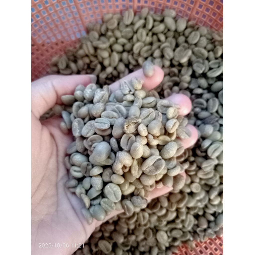 kopi robusta 1kg