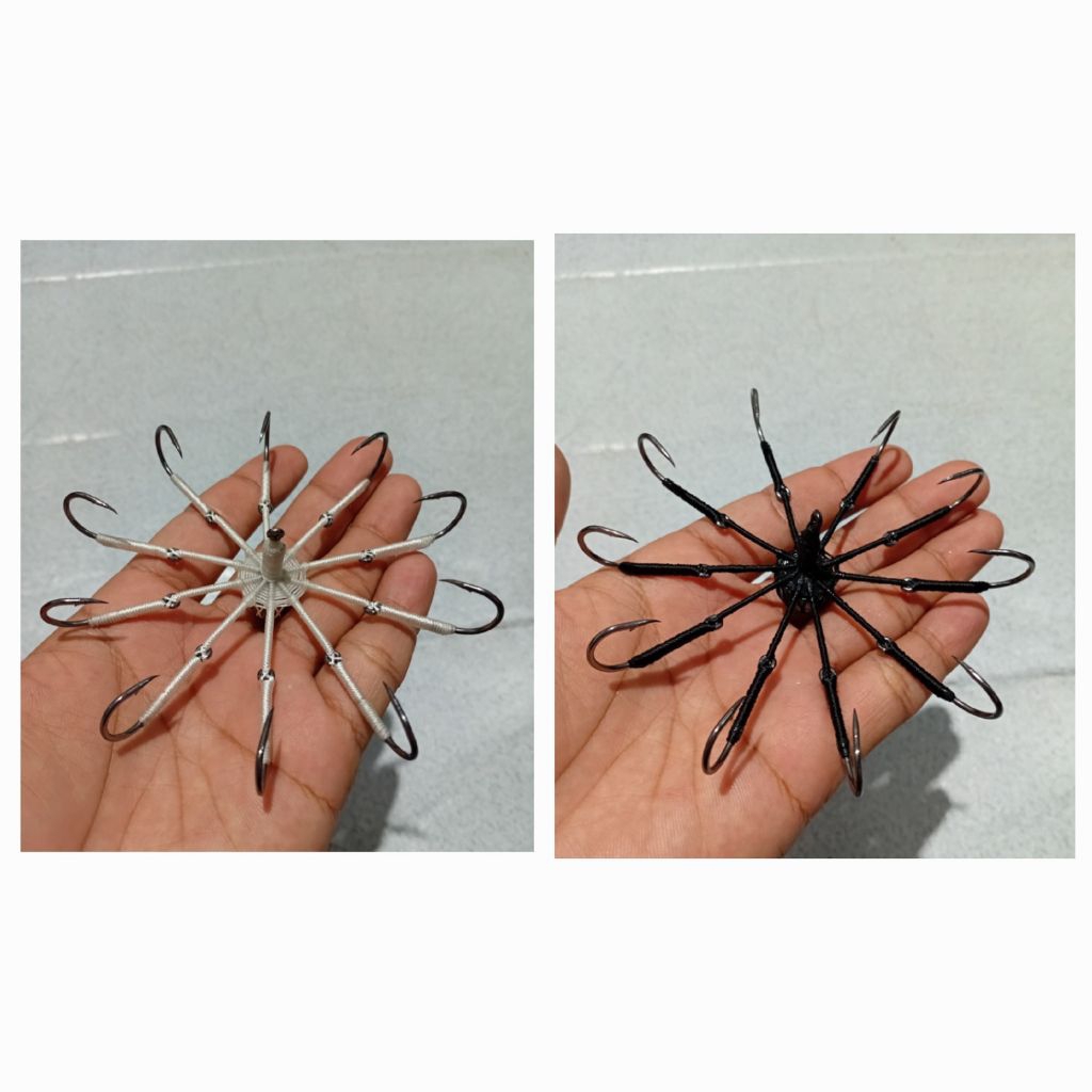 kail garong matahari 10 kail