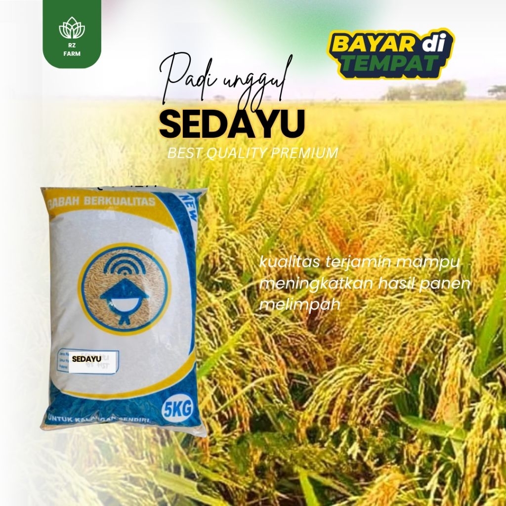 BENIH PADI SEDAYU 5KG