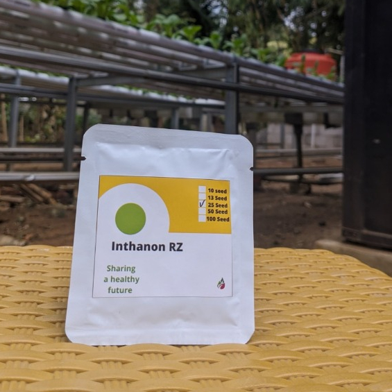 Benih Melon RZ Inthanon 25 Biji