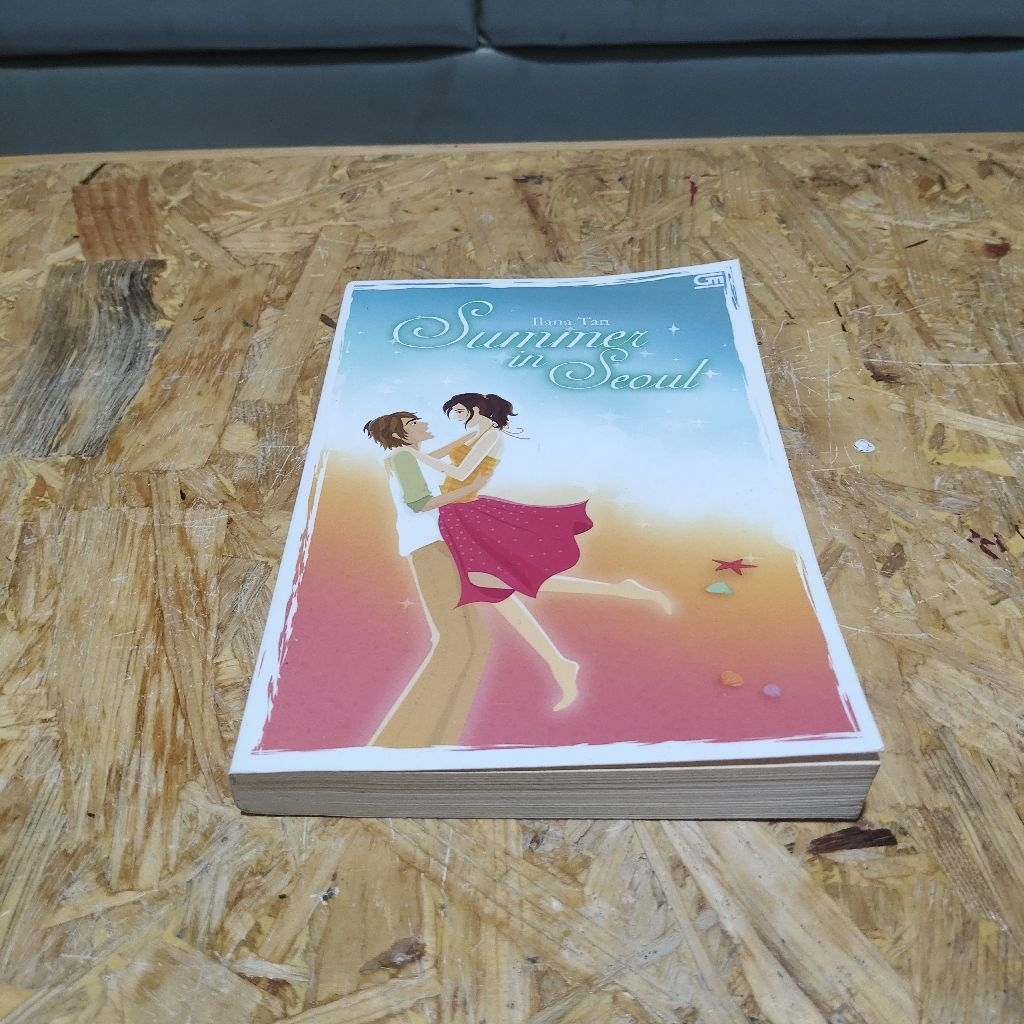 Novel Summer in Seoul