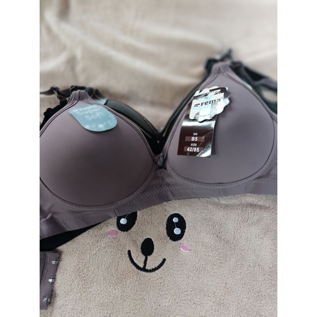 bra spon fema b5