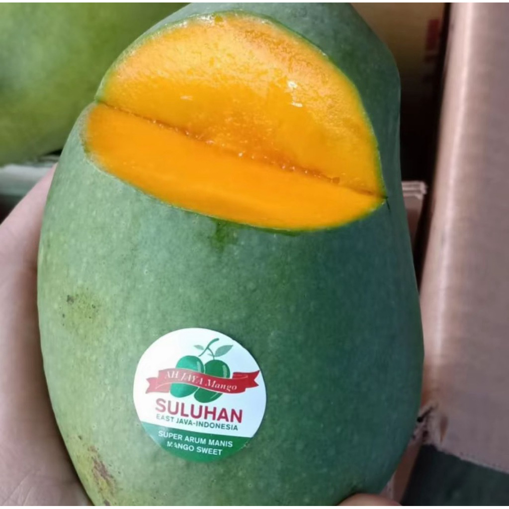 Mangga Harum Manis Suluhan Premium – Super Manis , Wangi & Segar Asli Jawa Timur 1Kg