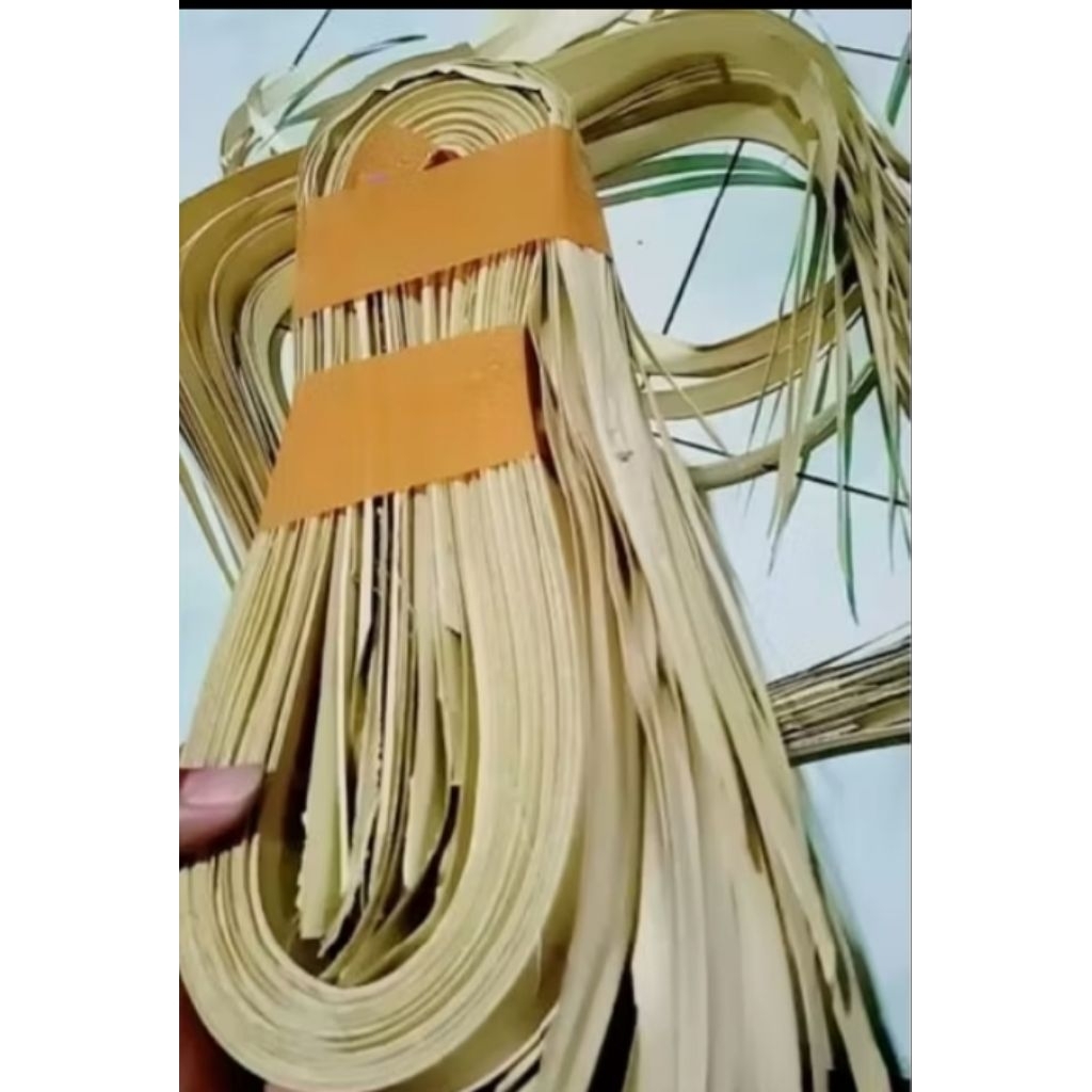 DAUN SIWALAN KERING pupus muda utuh lembar bisa buat dekorasi/ketupat