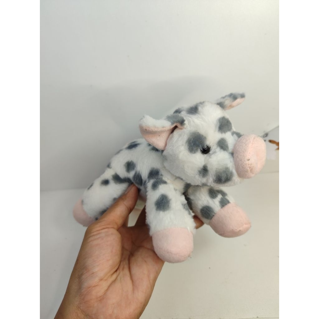 boneka babi bebong hutan original aurora mirip moana