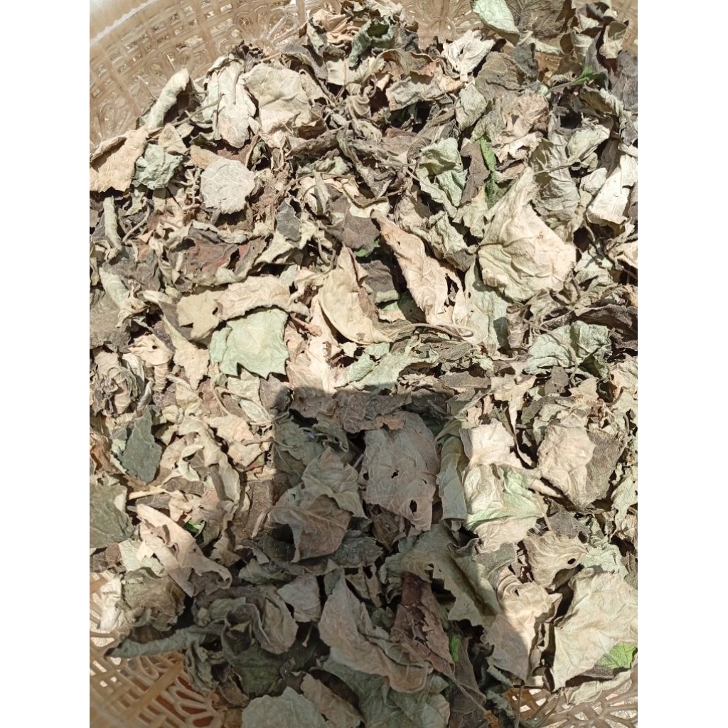 daun nilam kering bahan bibit minyak wangi dan herbal 250 gram