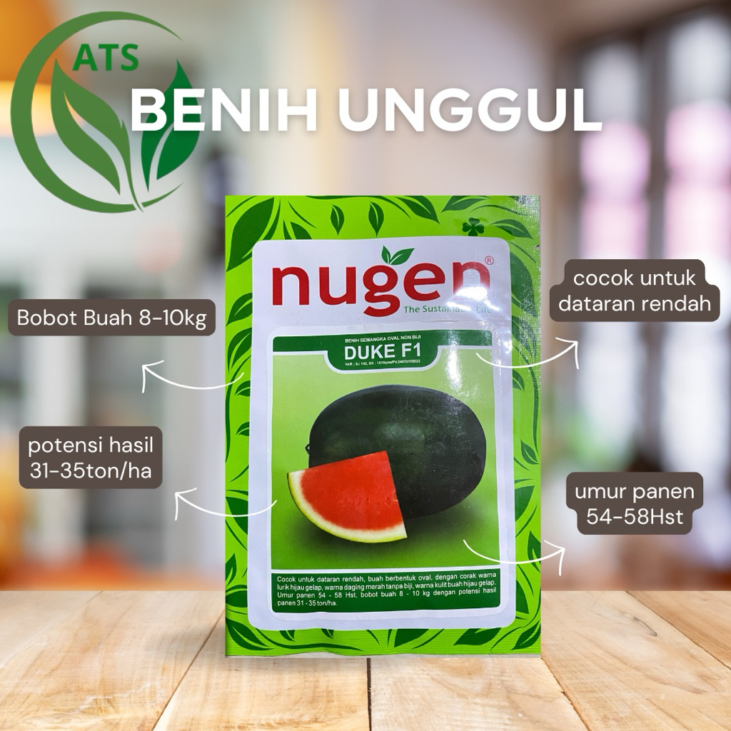 Benih Semangka Non Biji Duke F1 20gram Tipe Oval Lonjong Nugen