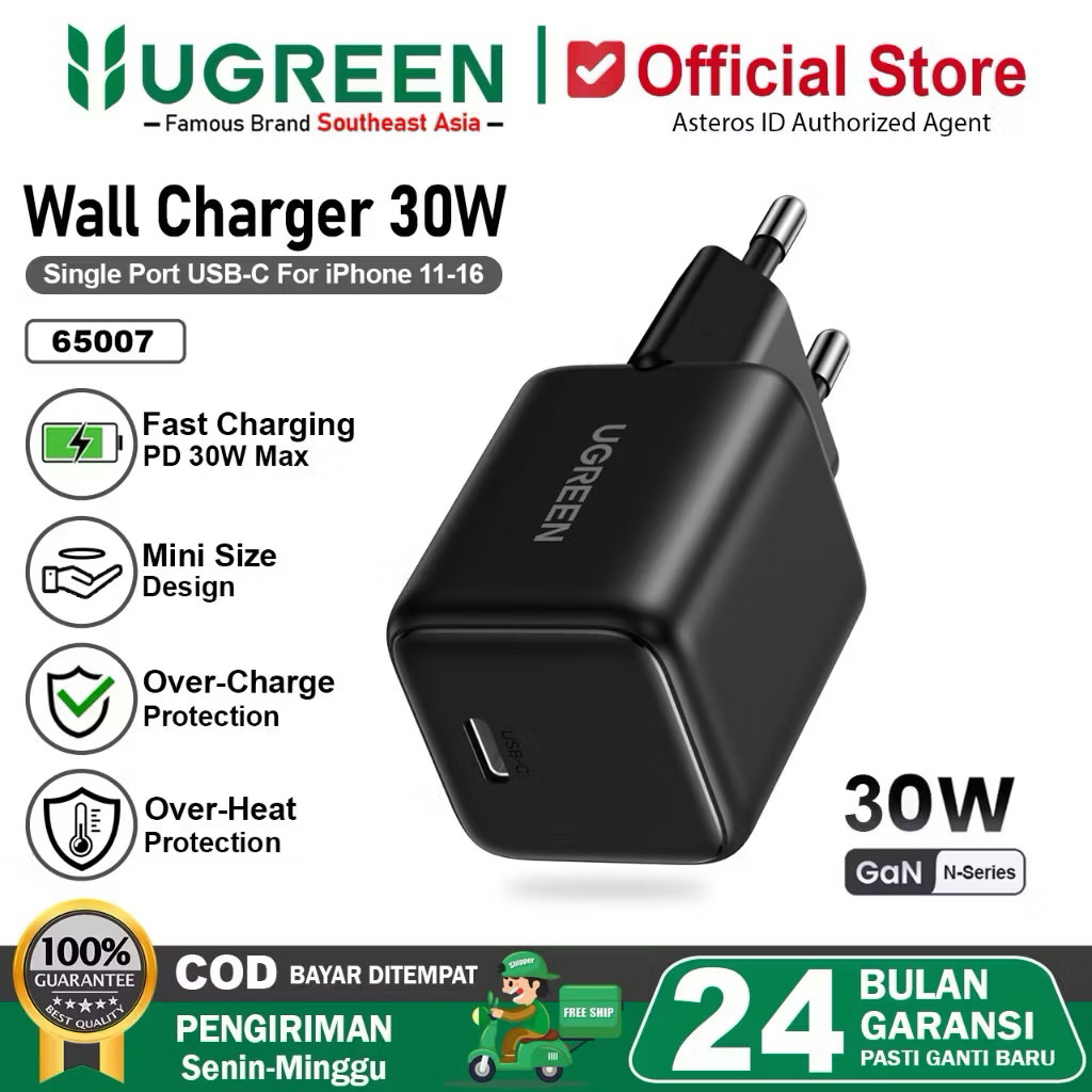 UGREEN KEPALA BATOK FAST CHARGER 30WATT TYPE-C
