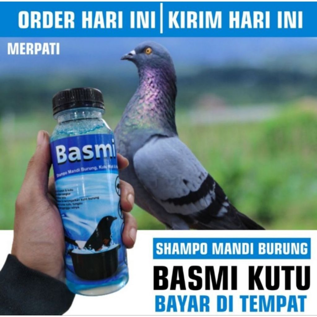 SAMPO MERPATI SAMPO BURUNG BASMI KUTU & BULU JADI HALUS ISI 250ML