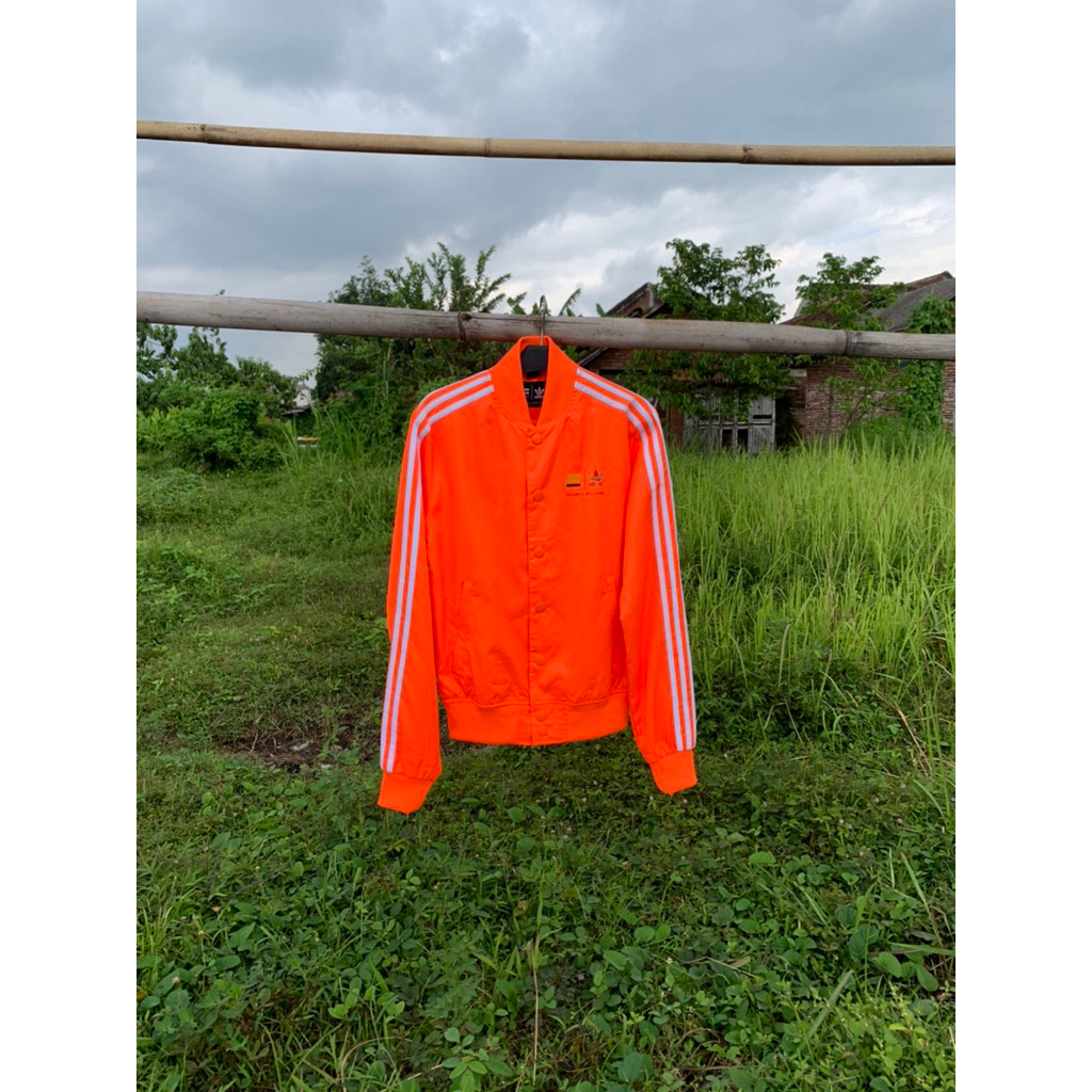 Adidas Varsity Pharell Williams