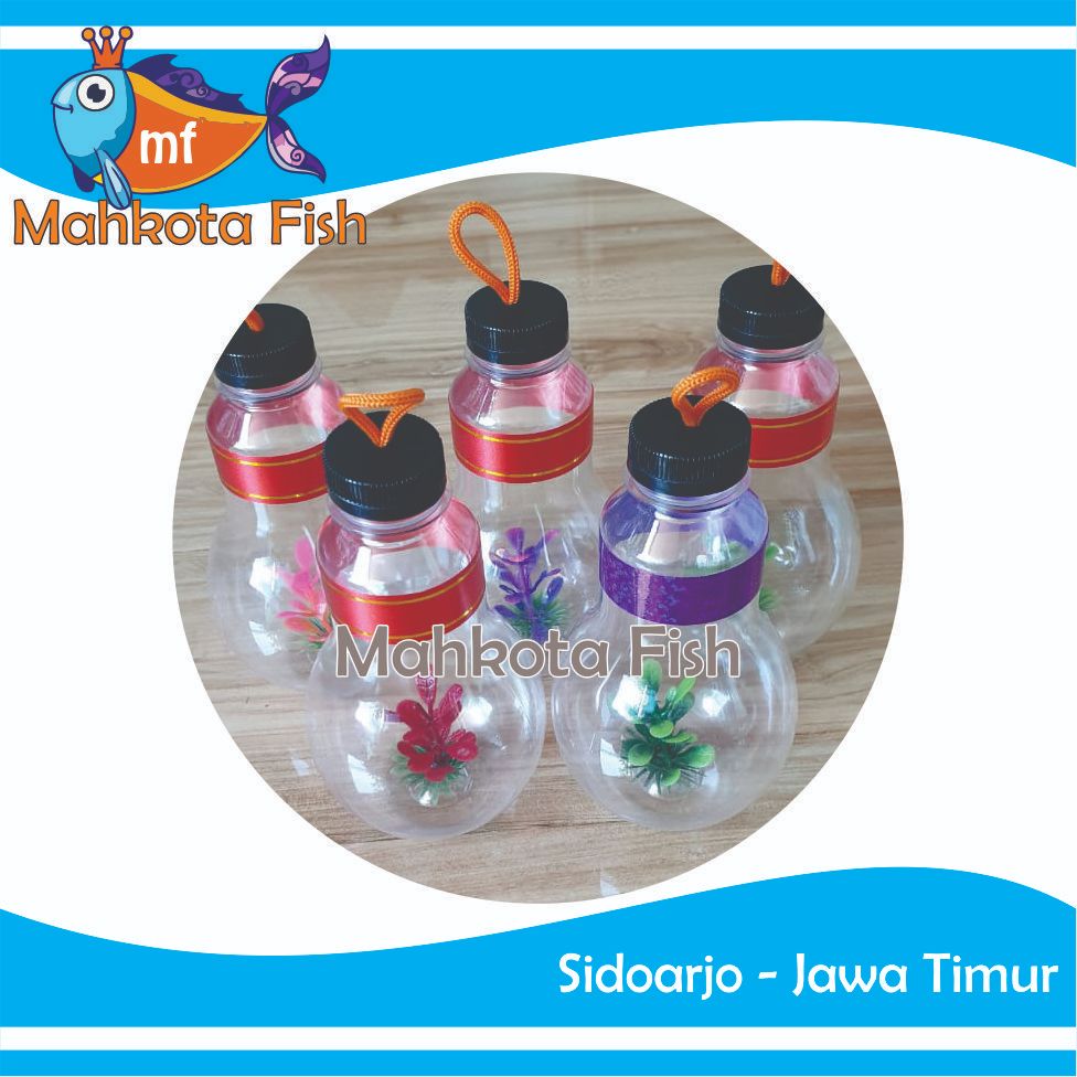Botol Ikan Hias Cantik | Botol Ikan | Botol Cupang | Botl Guppy | Botol Neon  Botol Mini | Botol Ika