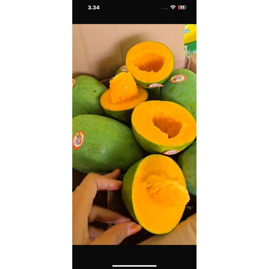 Mangga Alpukat 5kg
